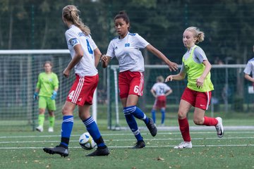 Bild 285 - C-Juniorinnen HSV - Walddoerfer : Ergebnis: 9:1